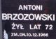 Janow Podlaski Antoni Brzozowski 