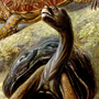 #5