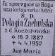 Cmentarz_Ostrowo_Zachulski_Koczorowski_Pelagia.jpg