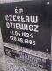 Cmentarz_Gorzow_Czeslaw_Oziewicz.jpg