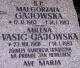 Cmentarz_Gorzow_Gajowski_Vasic.jpg