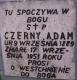 Cmentarz_Sciechow_Adam_Czerny.jpg