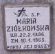 Cmentarz_Witnica_Maria_Ziolkowski.jpg