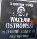 Cmentarz_Murzynowo_Waclaw_Ostrowski.jpg