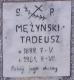 Cmentarz_Slonsk_Tadeusz_Mezynski.jpg