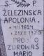 Cmentarz_Slonsk_Zelezinski_Apolonia.jpg