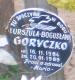 Cmentarz_Torzym_Goryczko.jpg